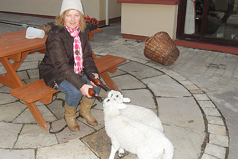 Southern Sun, Cahersiveen. County Kerry | Hand-feeding the Pet Lambs