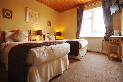O'Grady's Townhouse, Waterville. County Kerry | Twin Bedroom