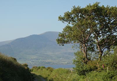View of Knocknadobar on the Cahersiveen Spur of the Kerry Way Knocknadobar, Cahersiveen. County Kerry